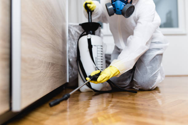 Best Best Pest Control Near Me  in Victoria, VA