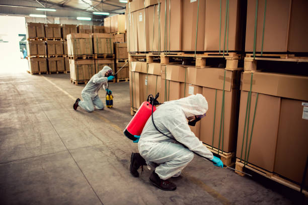 Best Wasp Removal Services  in Victoria, VA