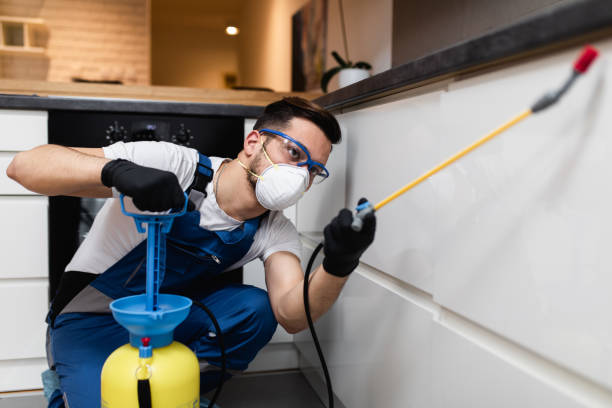 Best Affordable Pest Control Services  in Victoria, VA