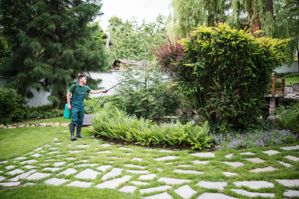 Best Exterminator Services  in Victoria, VA