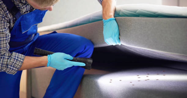 Best Bed Bug Extermination  in Victoria, VA