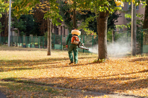 Best Insect Control  in Victoria, VA