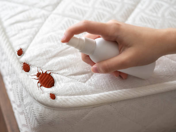 Best Pest Prevention Services  in Victoria, VA