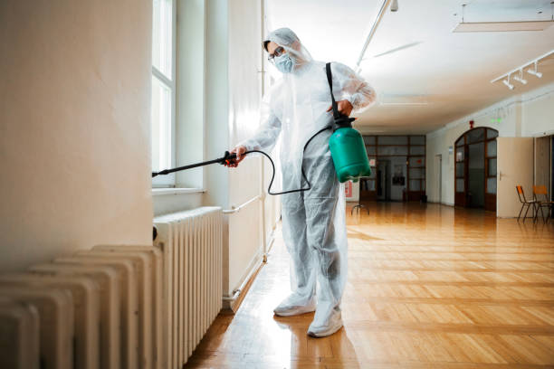 Best Termite Control Services  in Victoria, VA