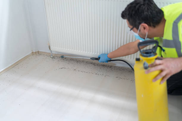 Best Ant Control Services  in Victoria, VA