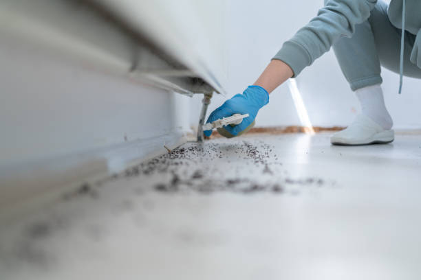 Best Emergency Pest Control  in Victoria, VA