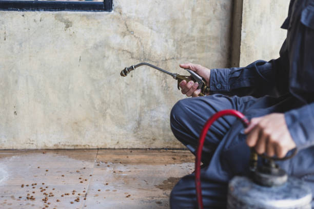 Professional Pest Control in Victoria, VA