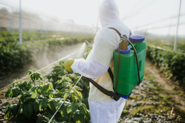 Best Cockroach Control Services  in Victoria, VA